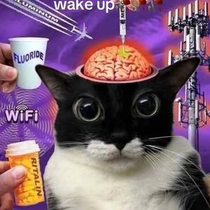 Meet your Posher, Jay